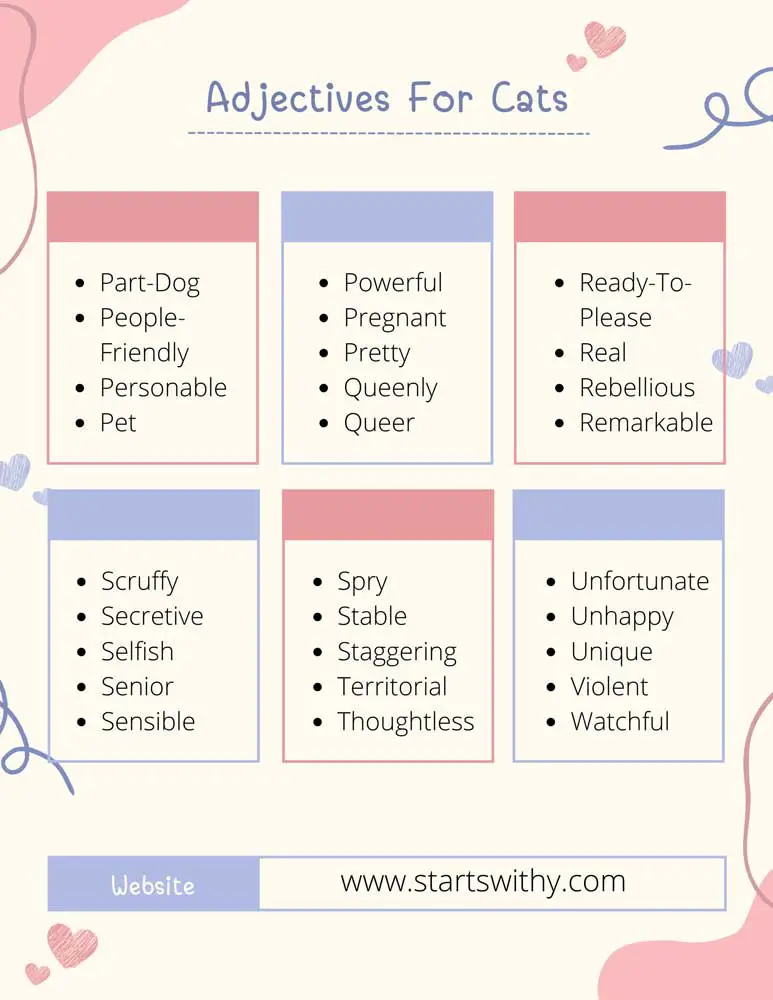Adjectives For Cats