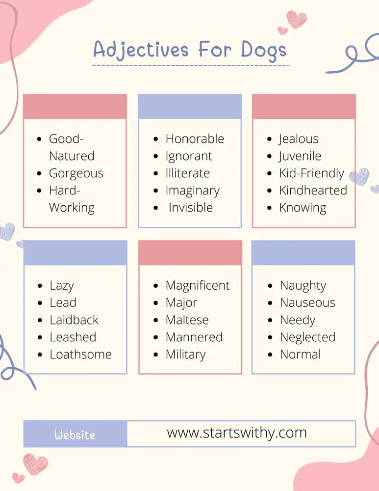 Adjectives For Dogs