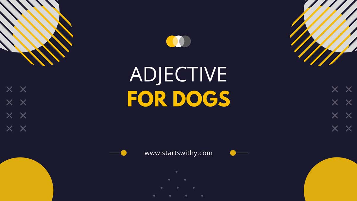 Adjectives For Dogs