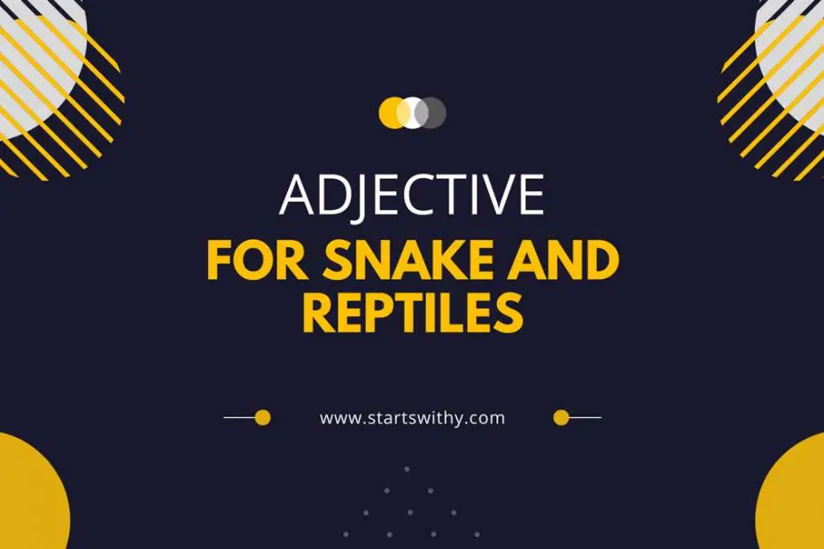 Adjectives For Snake and Reptiles