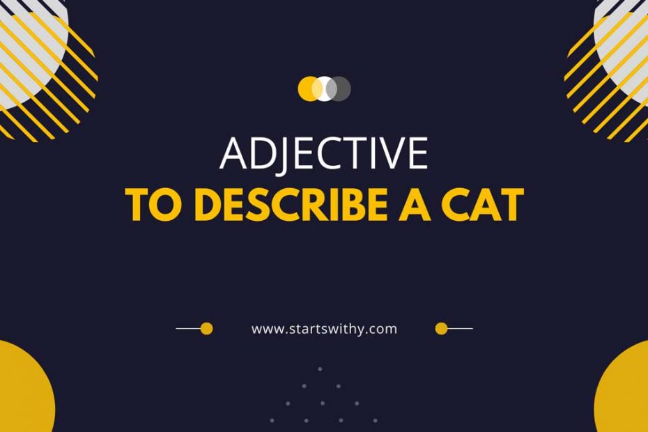 Adjectives to Describe a Cat