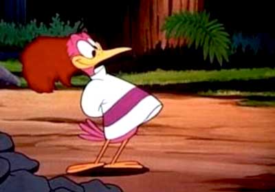 Aracuan Bird
