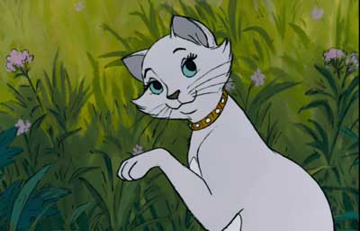 Duchess