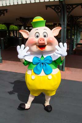 Fifer Pig