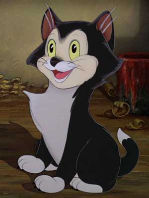 Figaro the Cat