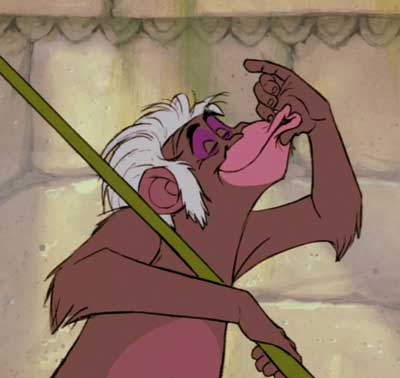 Flunkey the Baboon