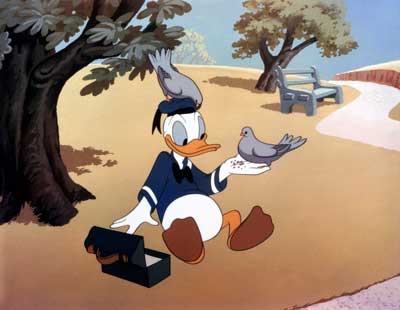 Ivan Donald Duck