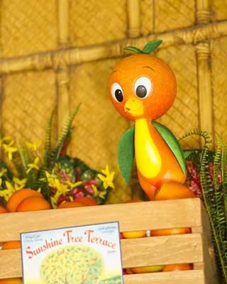 Orange Bird