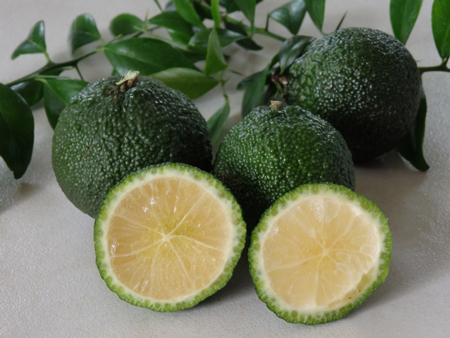 Australian Round Lime