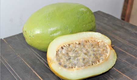 Barbadine