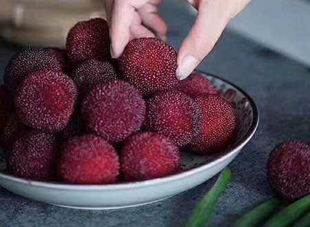 Bayberries