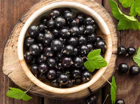 Blackcurrant