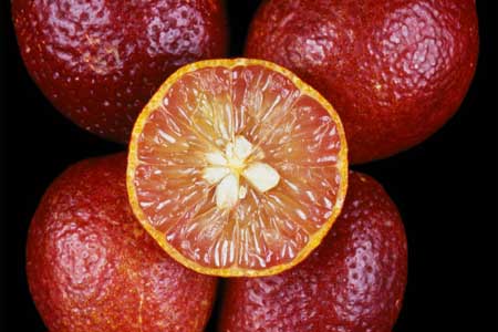 Blood Lime