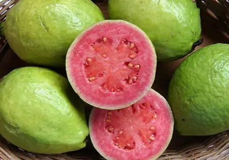 Brazilian Guava 