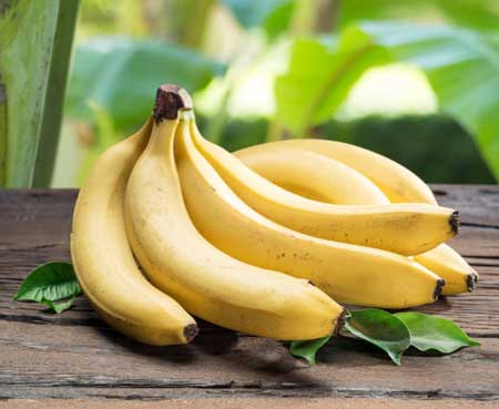 Cavendish Banana 