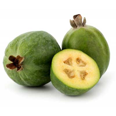 Feijoa  