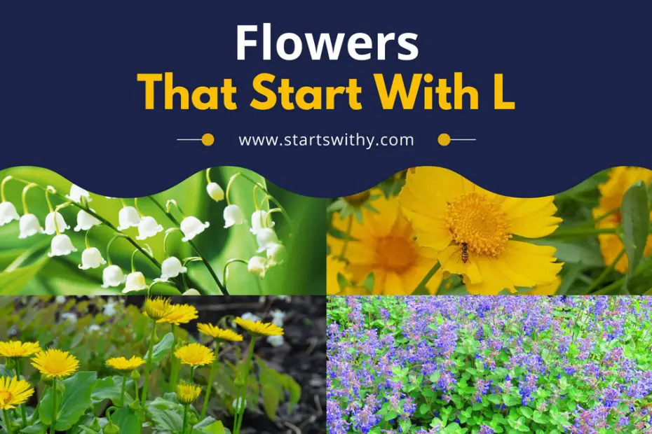 Flowers That Start With L
