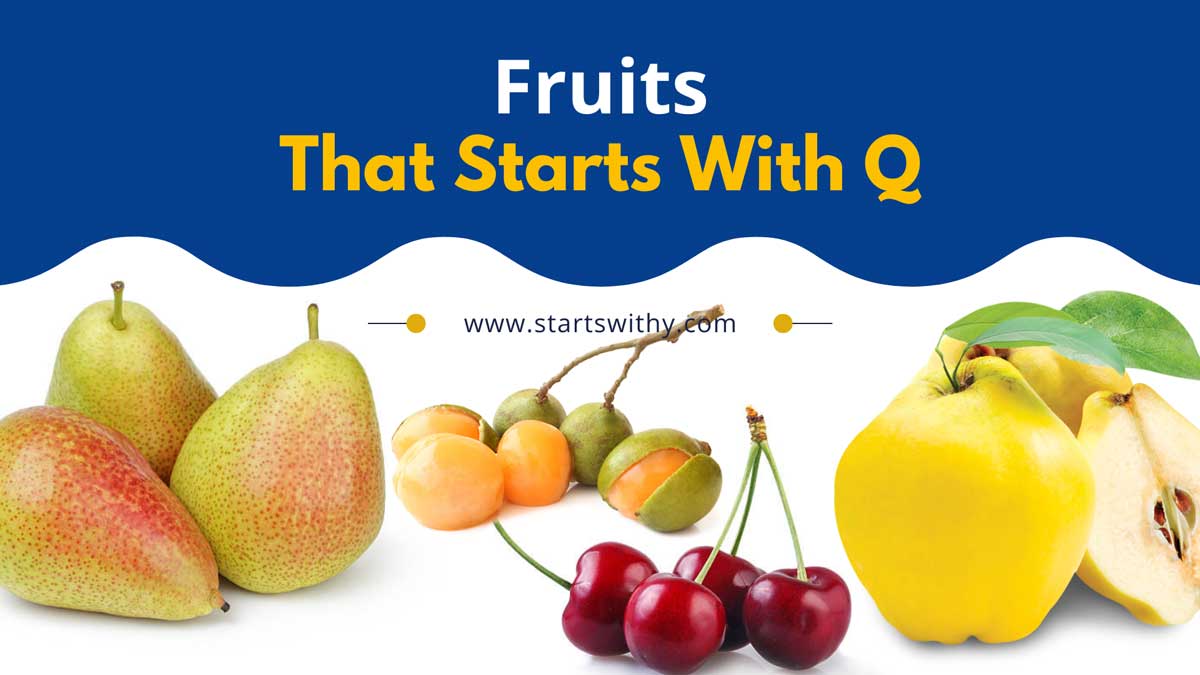 12 Fruits That Start With Q