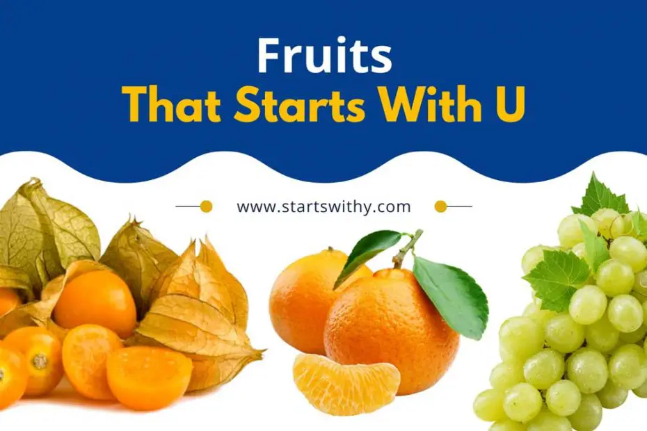 Fruits That Start With U