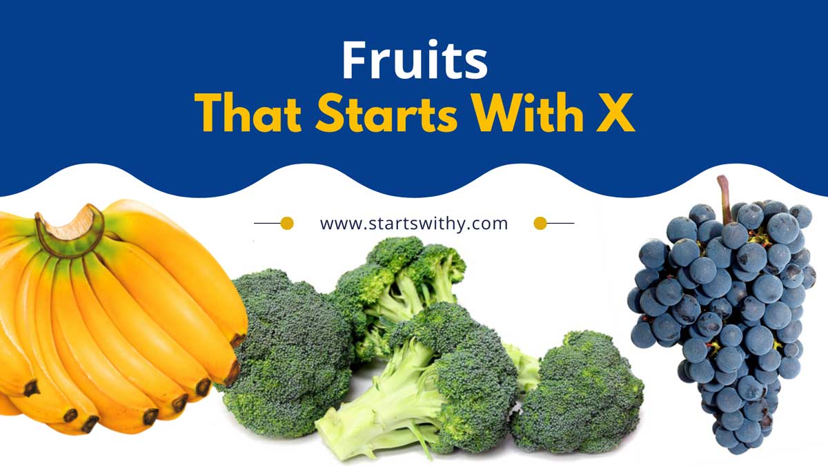 Fruits That Start With X