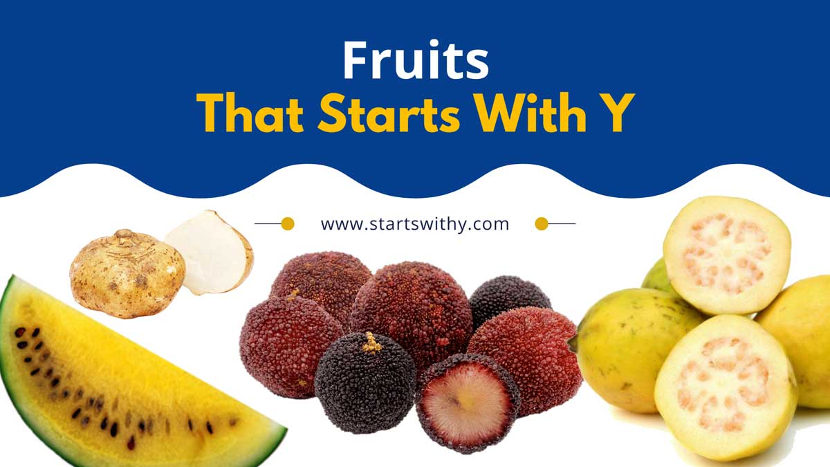 Fruits That Start With Y