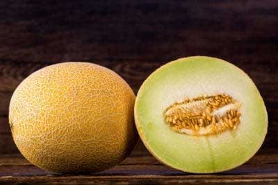 Galia Melon 