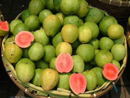 Guava  