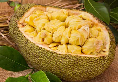 Jackfruits  