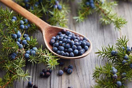 Juniper Berry 