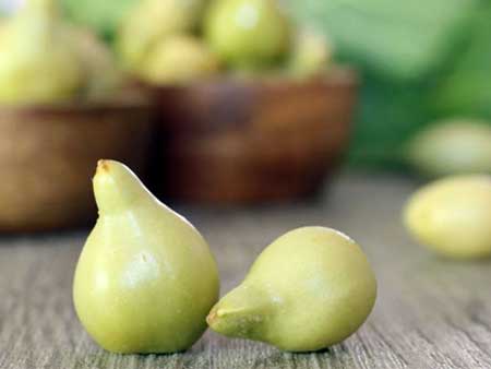 Kakadu plum 