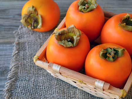 Kaki Persimmon 