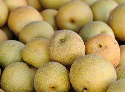 Nashi Pear 