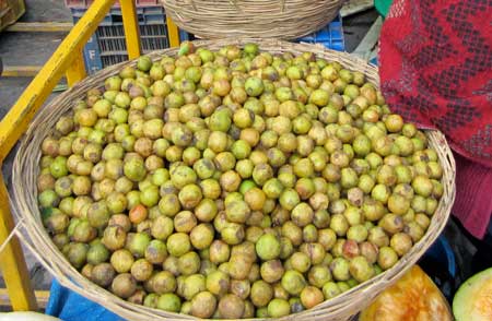 Nepali Hog Plum