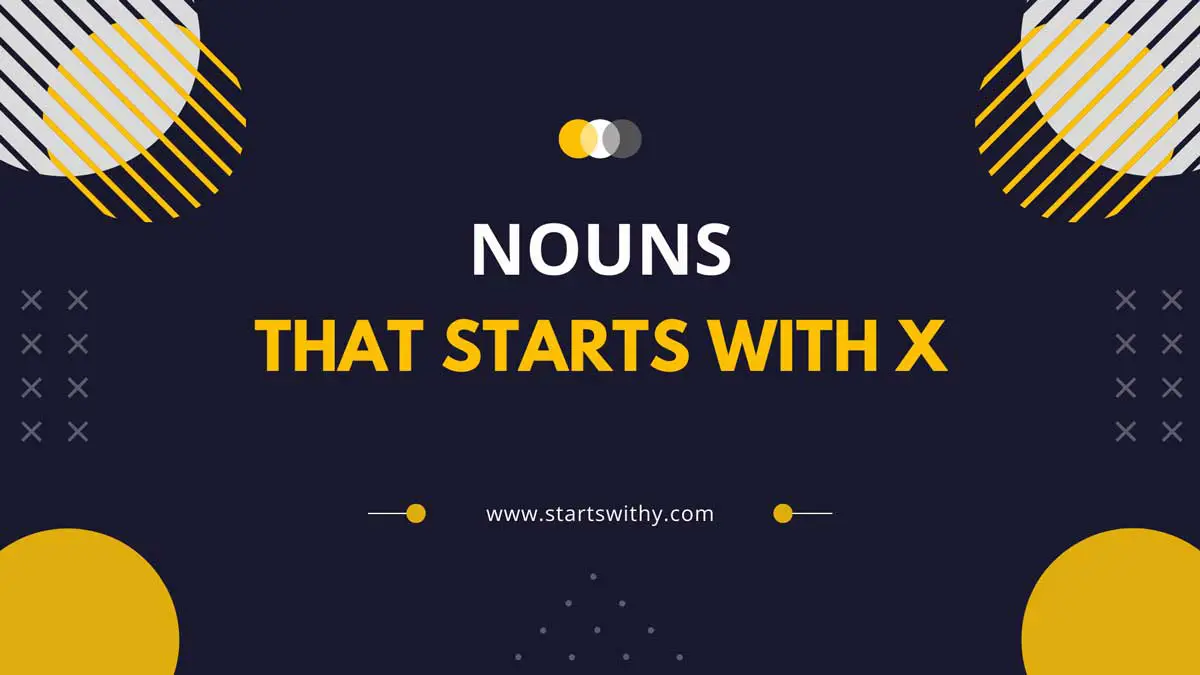 Nouns That Start With X