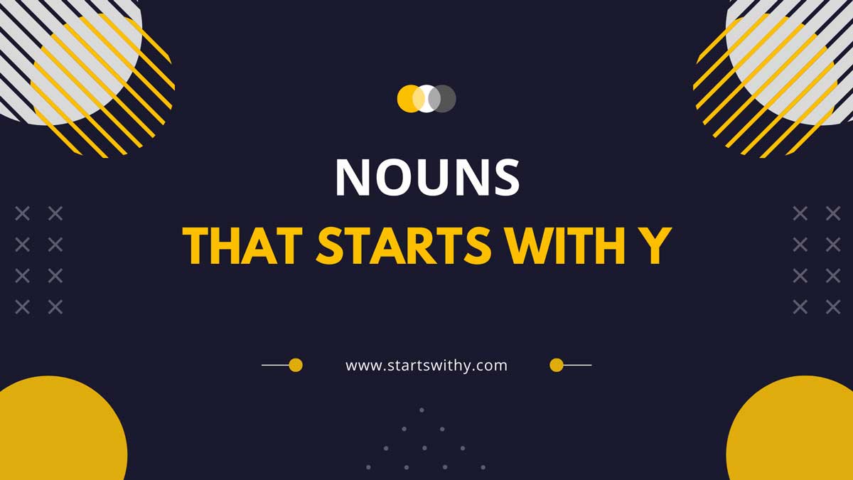 Nouns That Start With Y