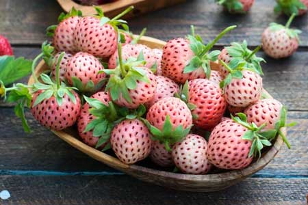 Pineberry  