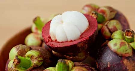 Purple Mangosteen 