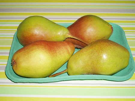 Queen Forelle Pear