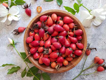 Rose Hip 