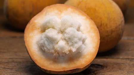 Santol  