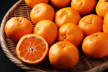Satsuma Orange 