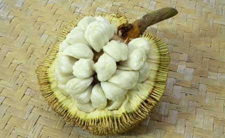 Tarap