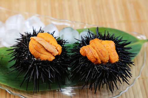 Uni  