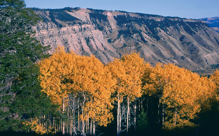 Yellowstone National Park, WY