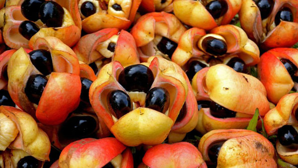 Ackee