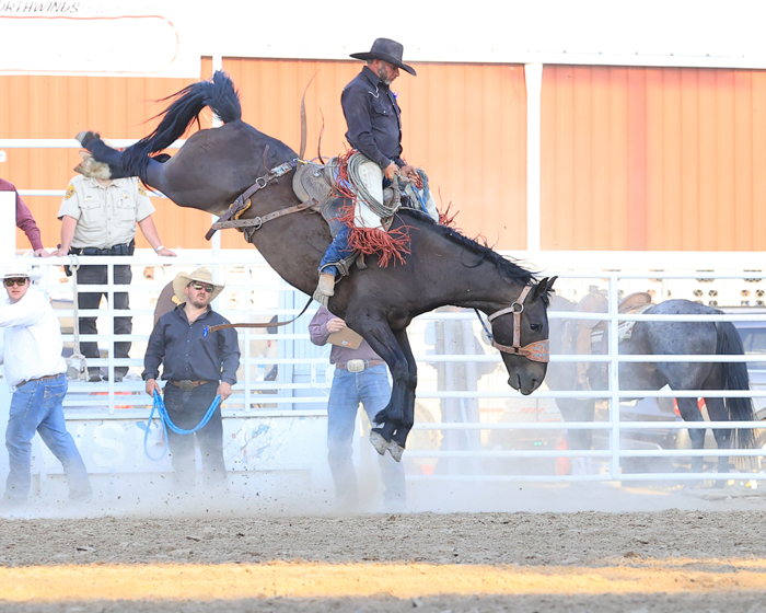 Bronc Riding