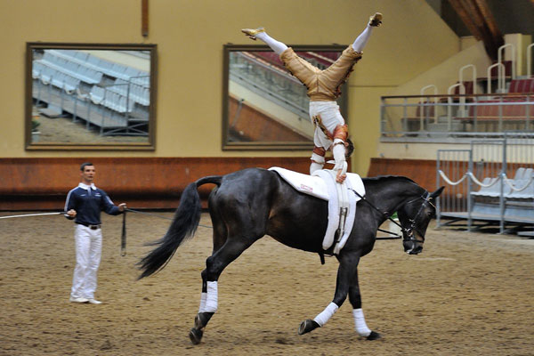 Equestrian Vaulting