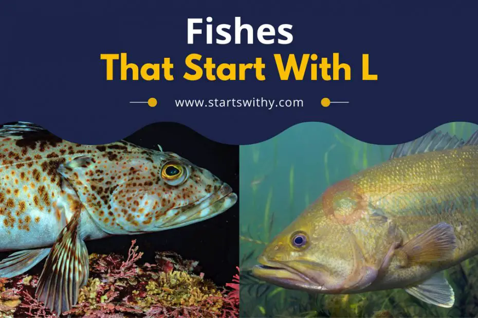 Fishes That Start With L