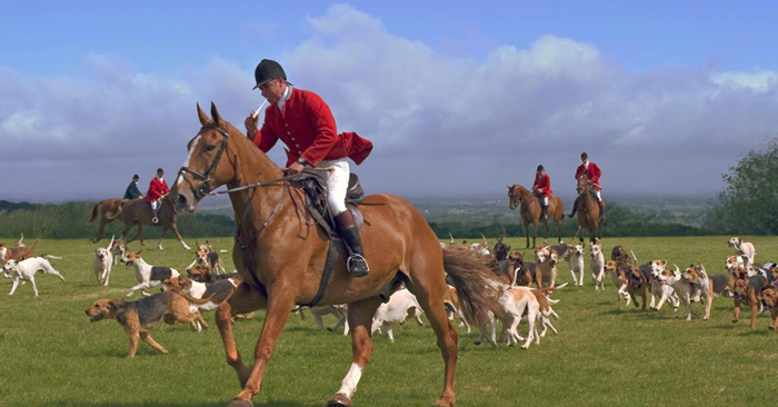 Fox Hunting