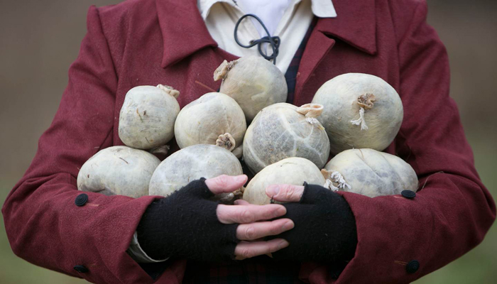 Haggis Hurling